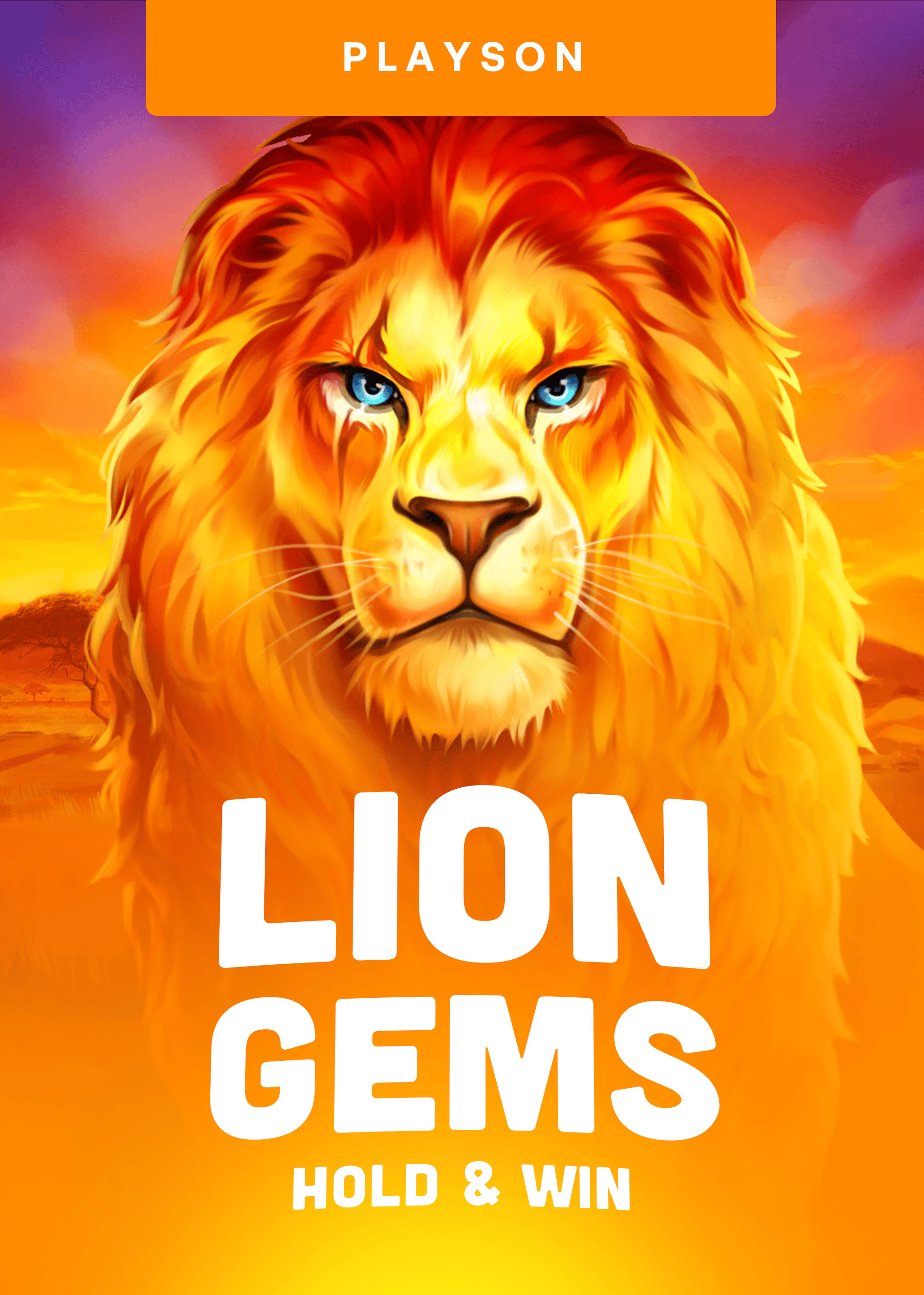 Lion Gems: Hold and Win