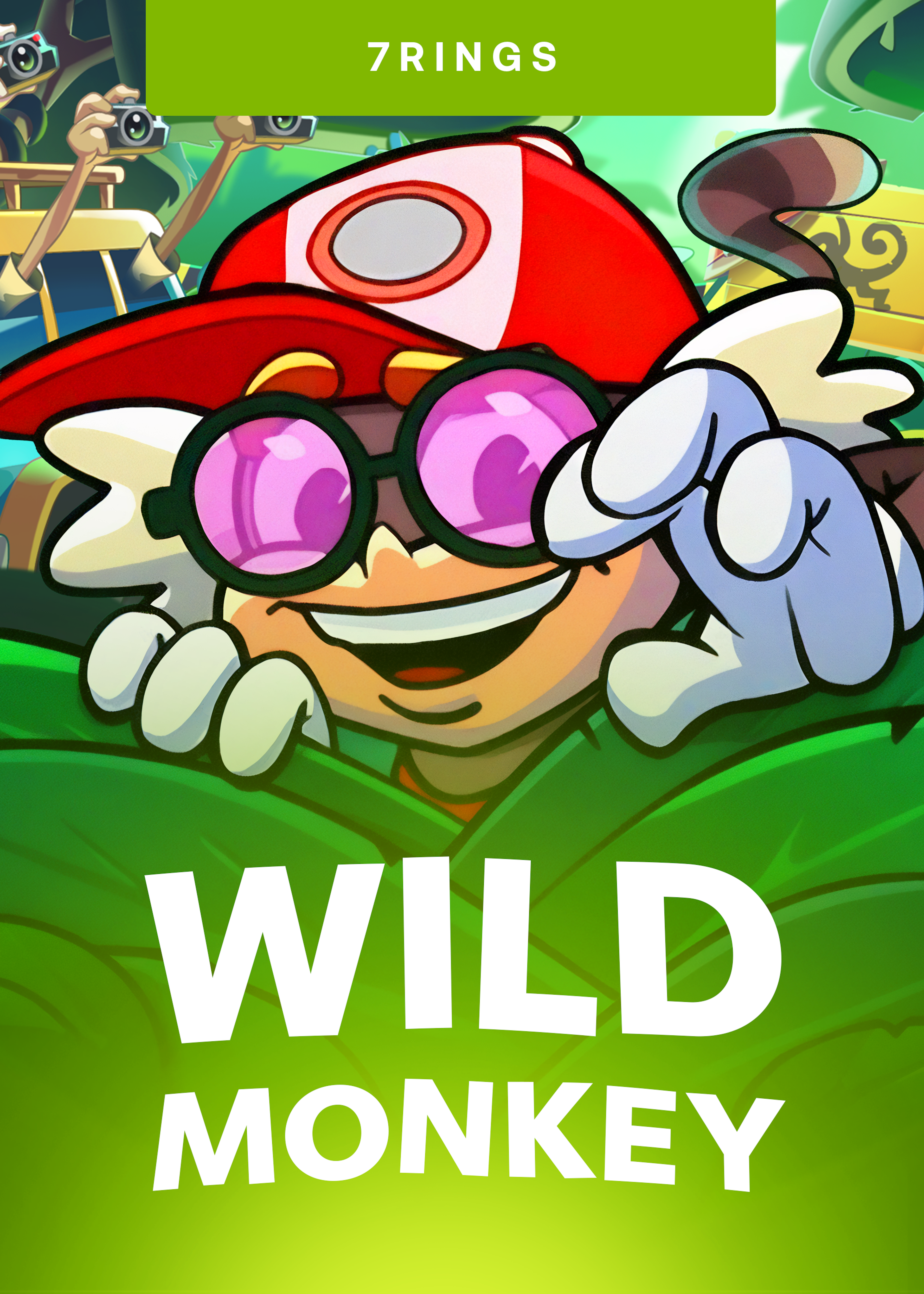Wild Monkey