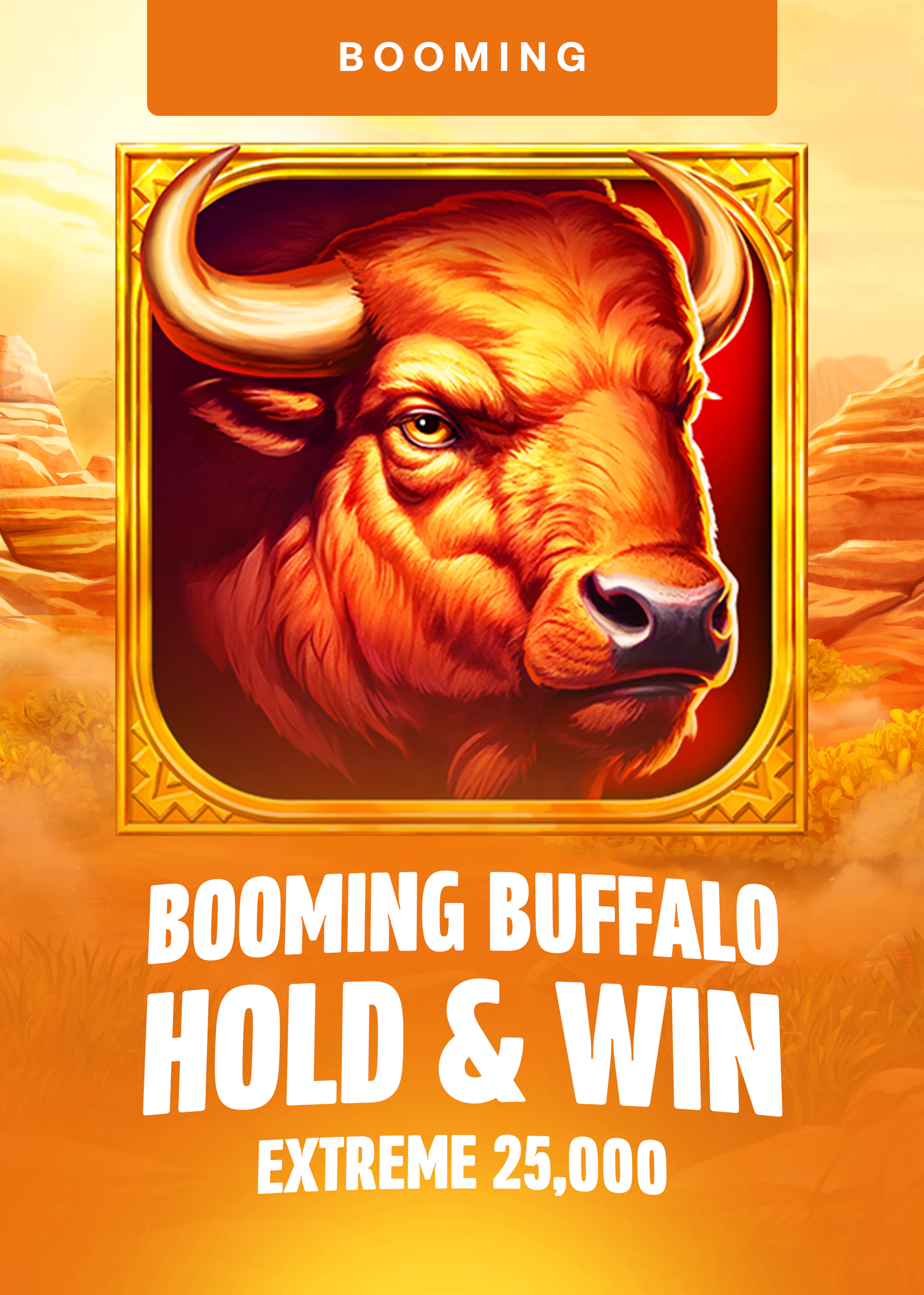 Booming Buffalo Hold and Win Extreme 25,000
