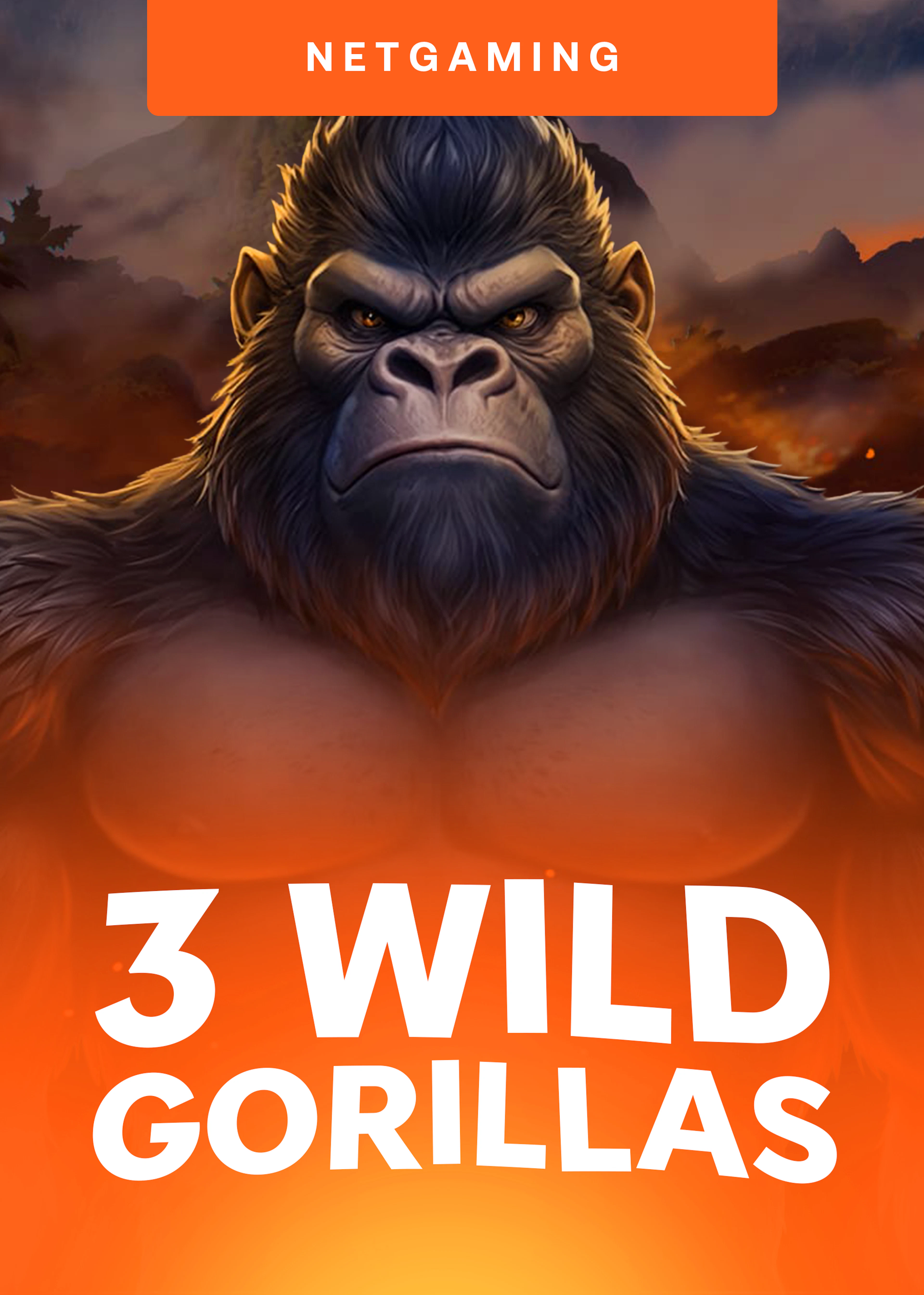 3 Wild Gorillas