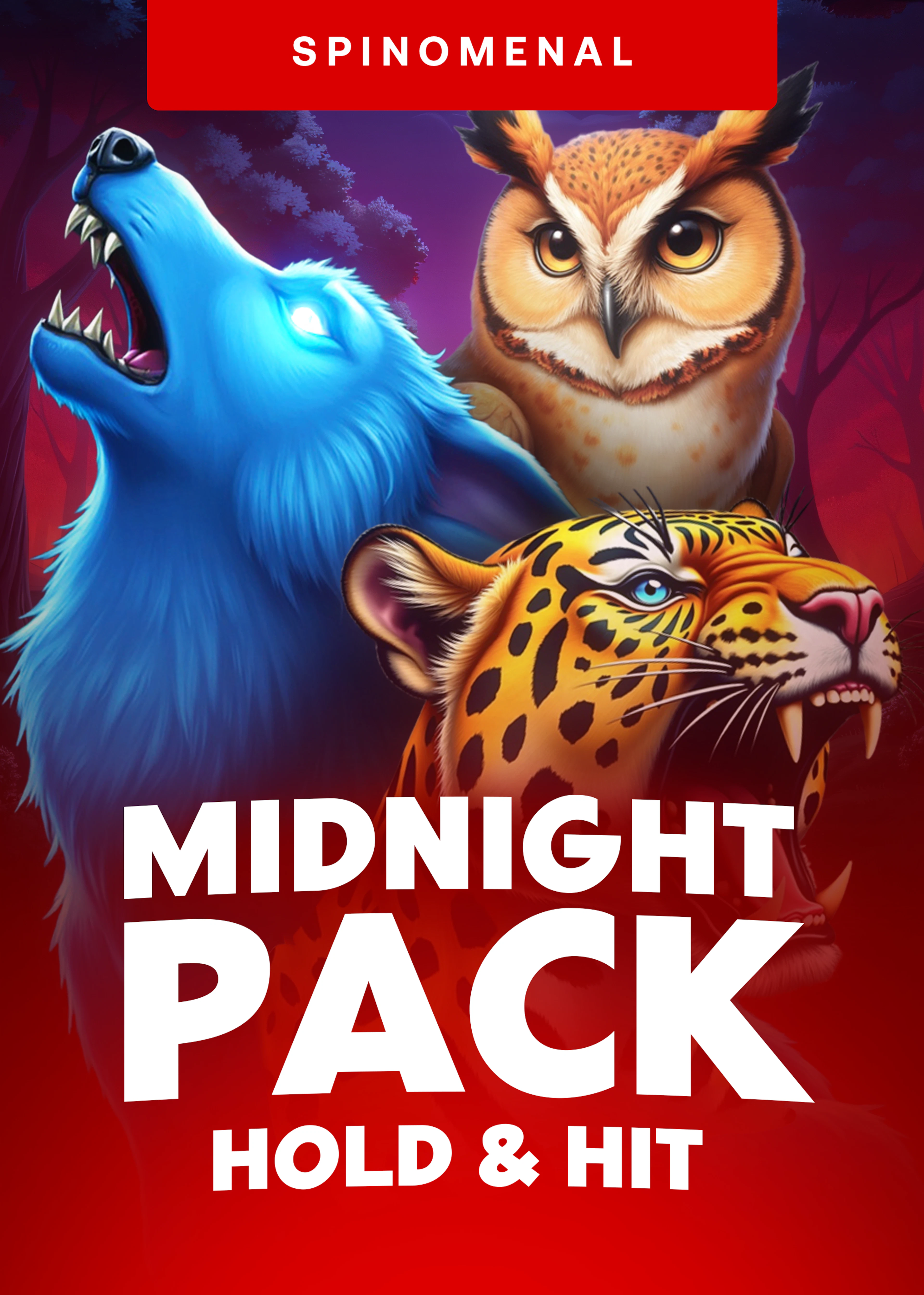 Midnight Pack - Hold and Hit