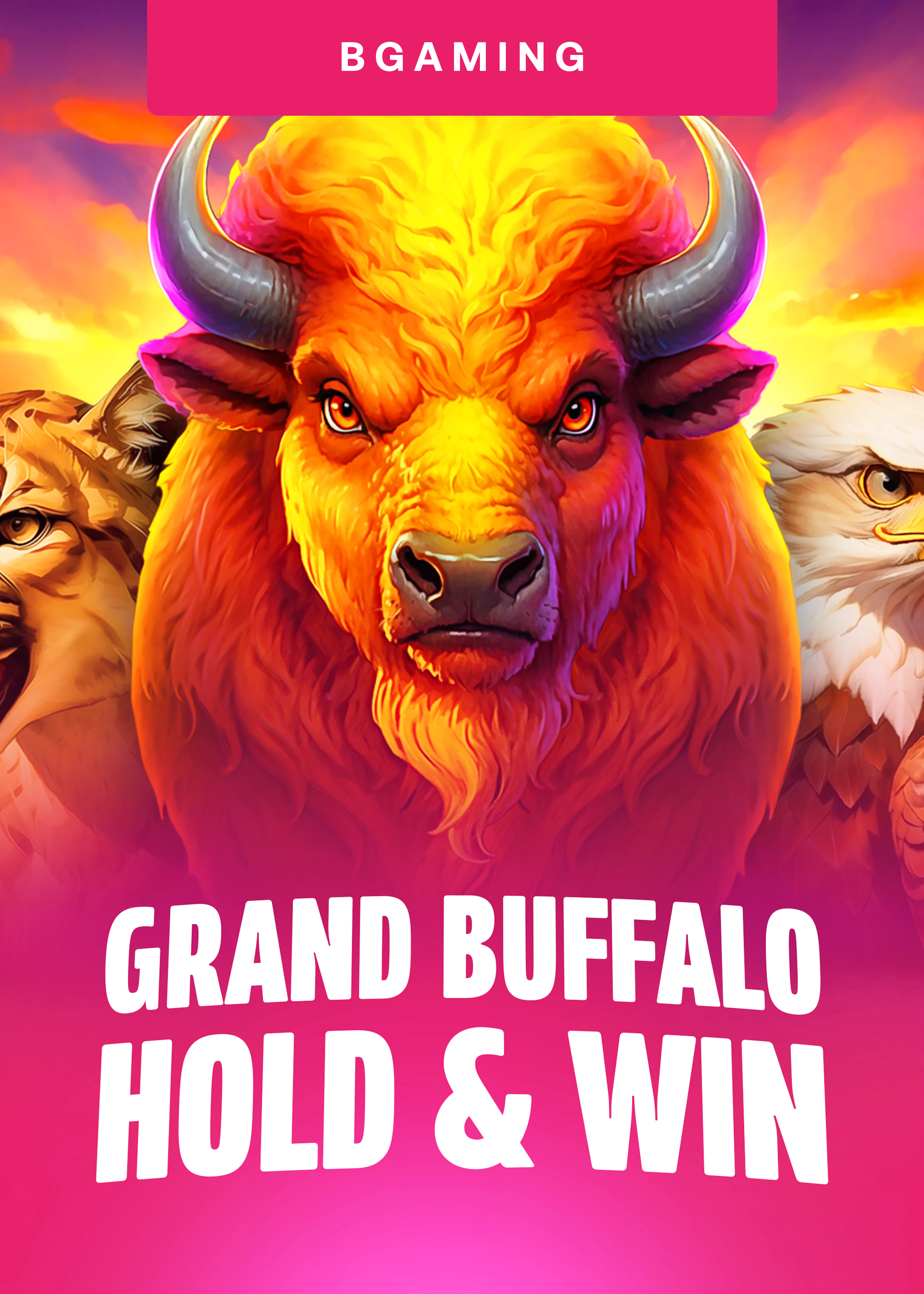 Grand Buffalo Hold and Win