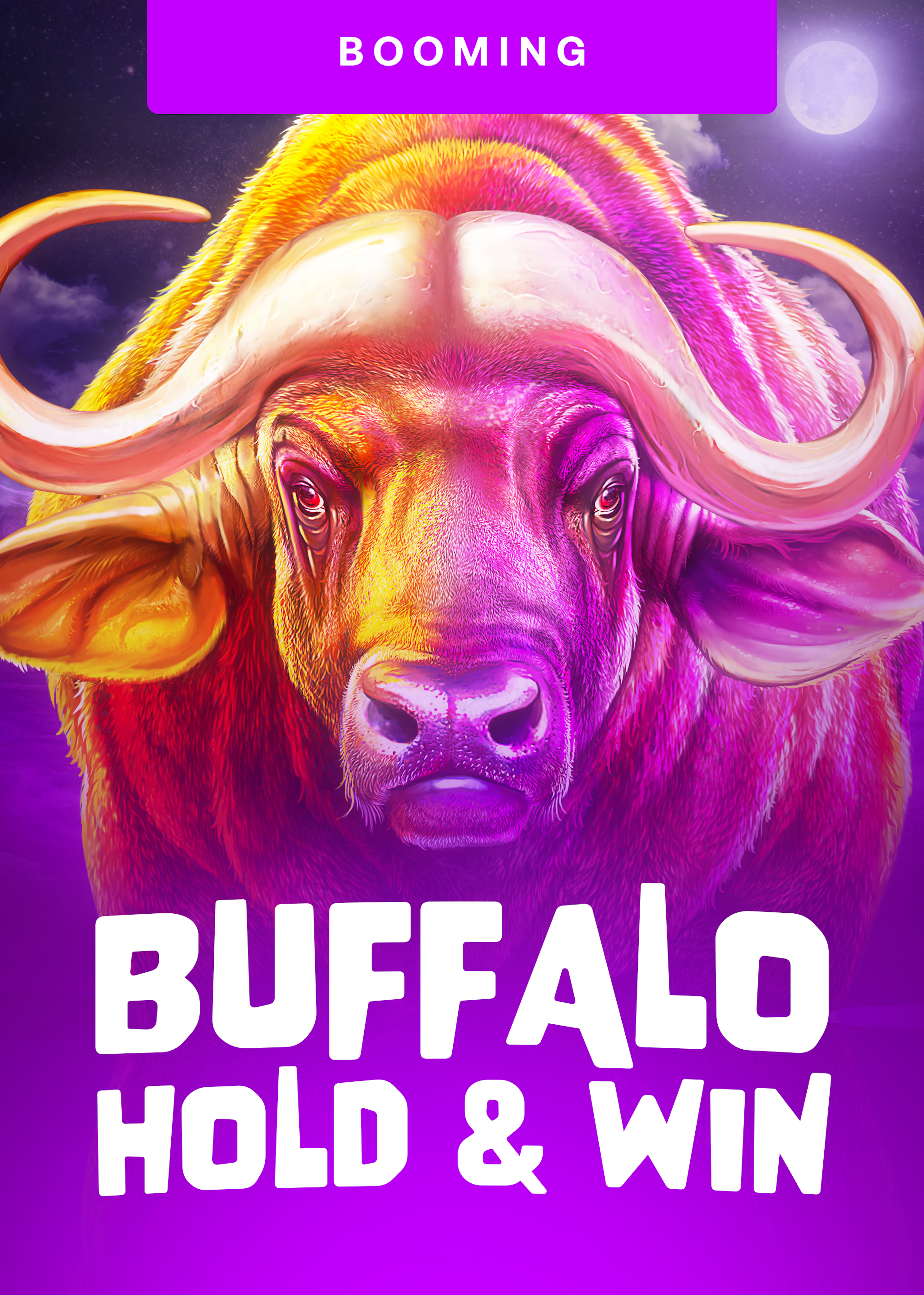 Buffalo Hold and Win