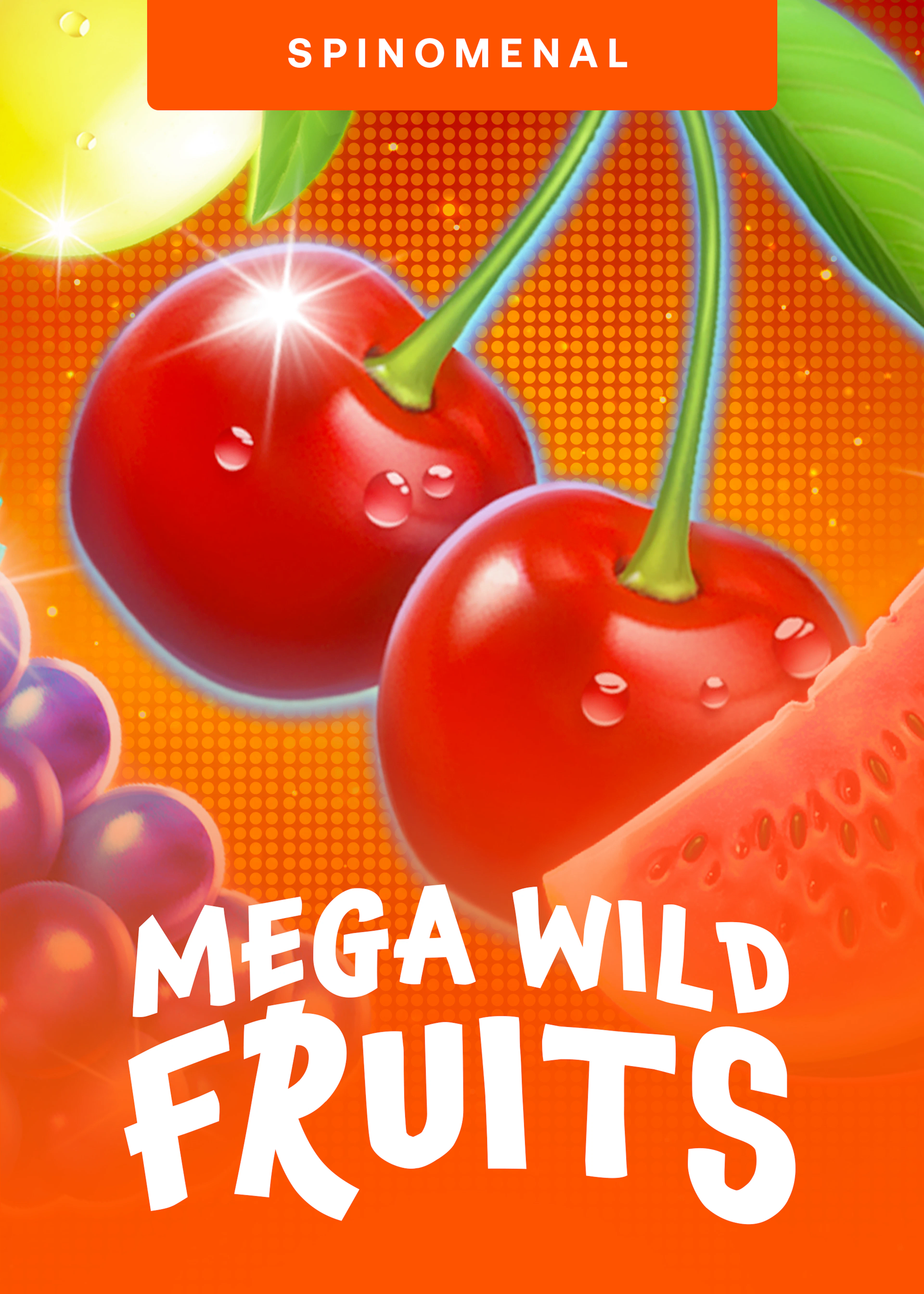 Mega Wild Fruits
