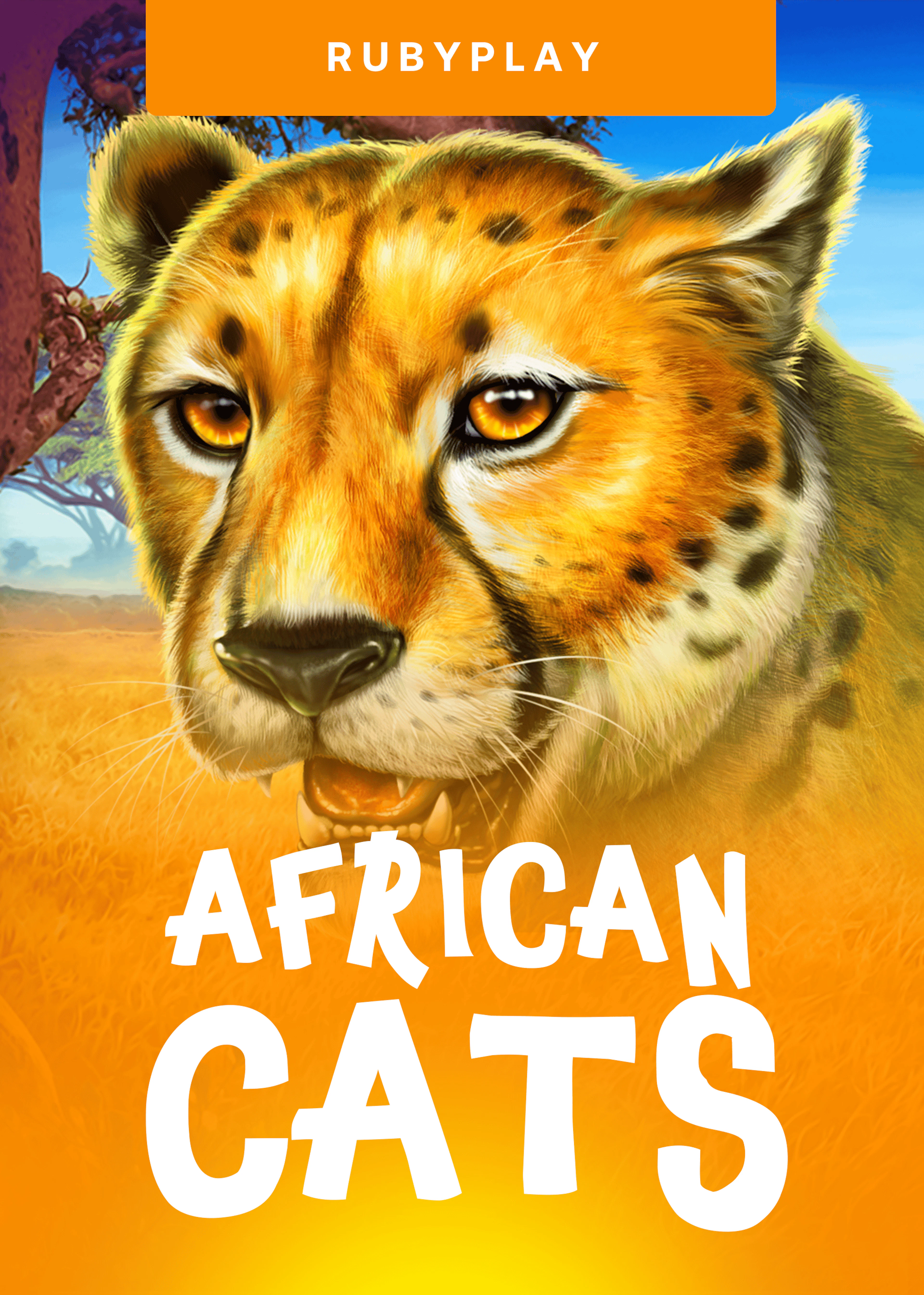 African Cats
