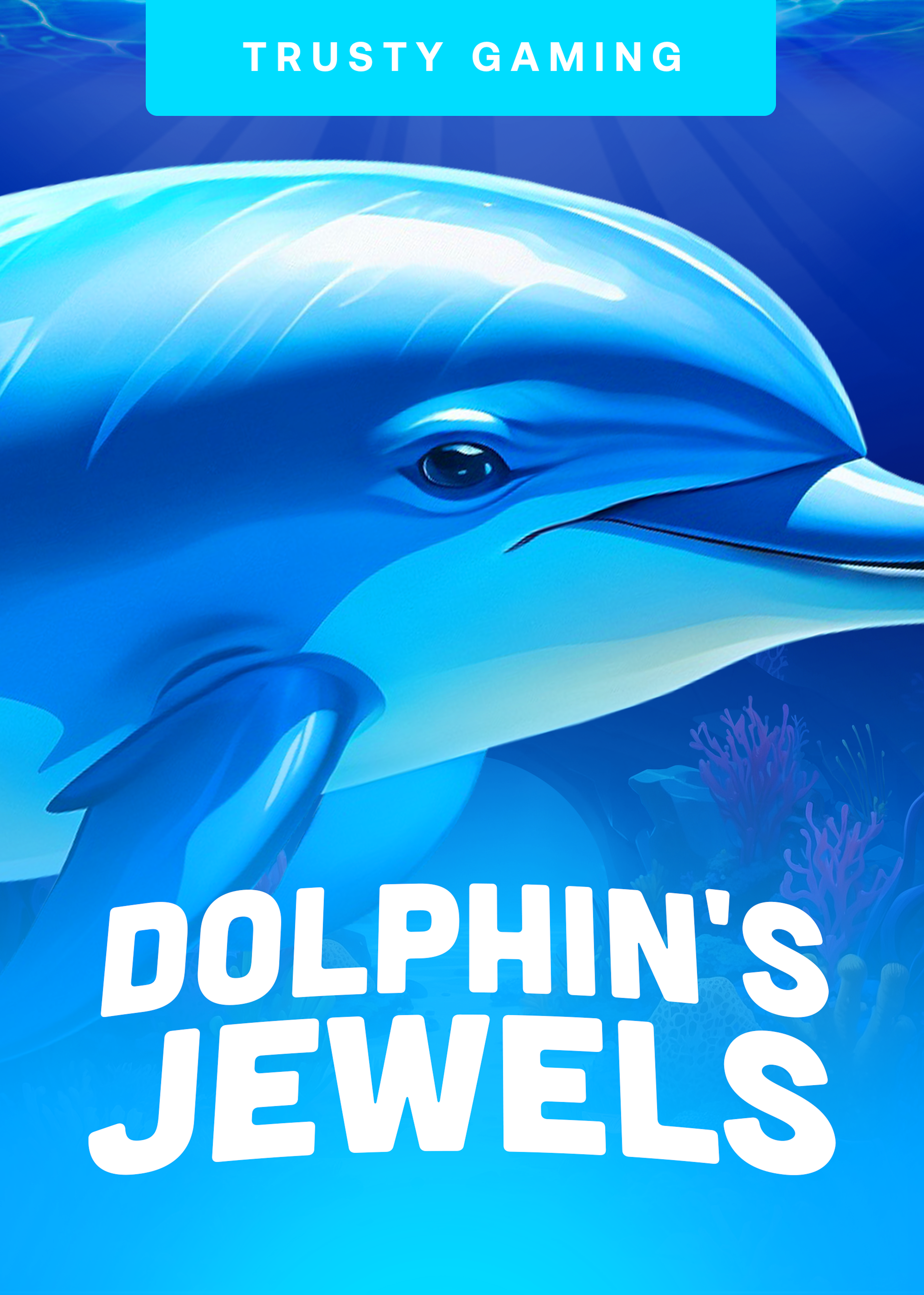 Dolphin's Jewels