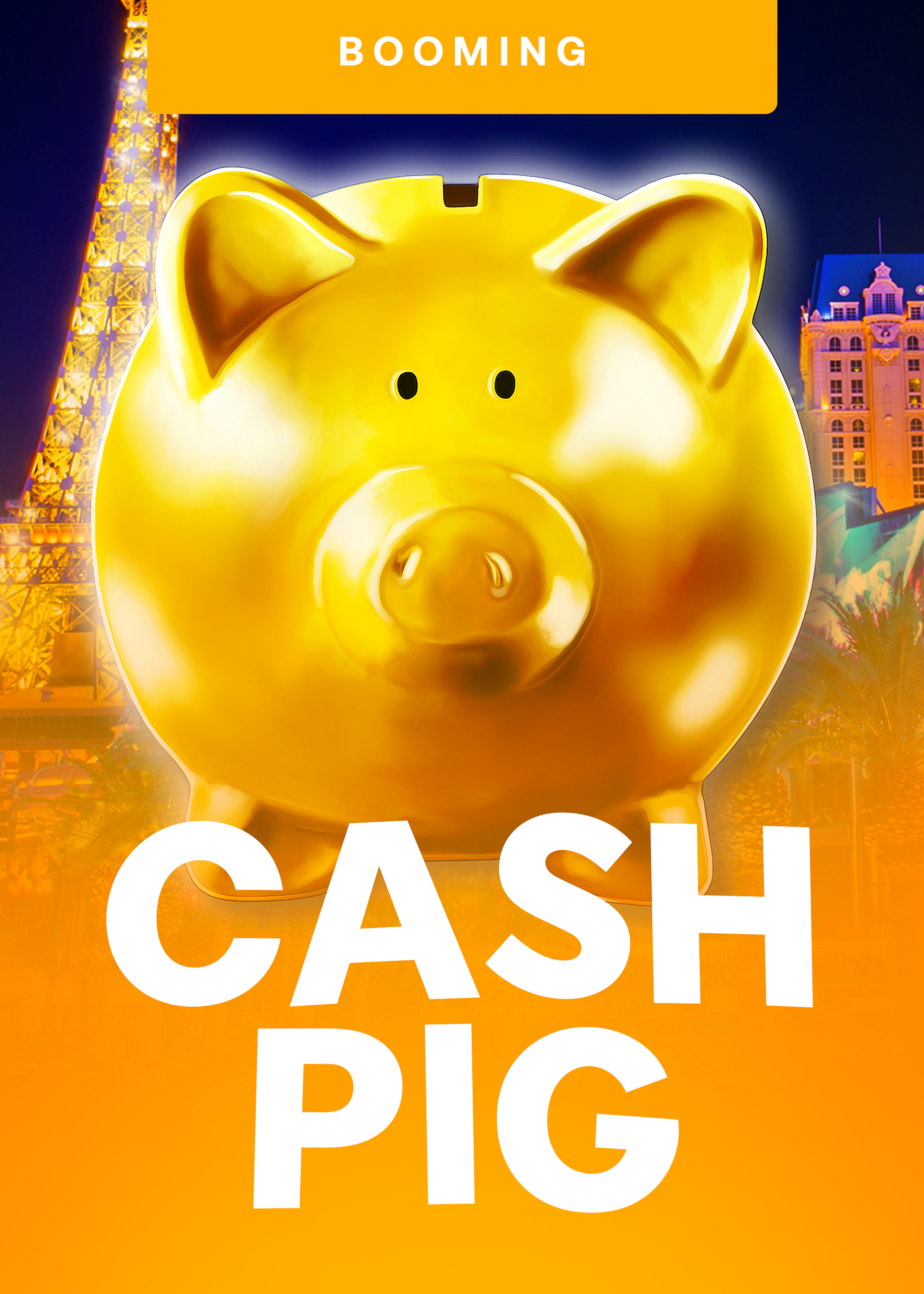 Cash Pig
