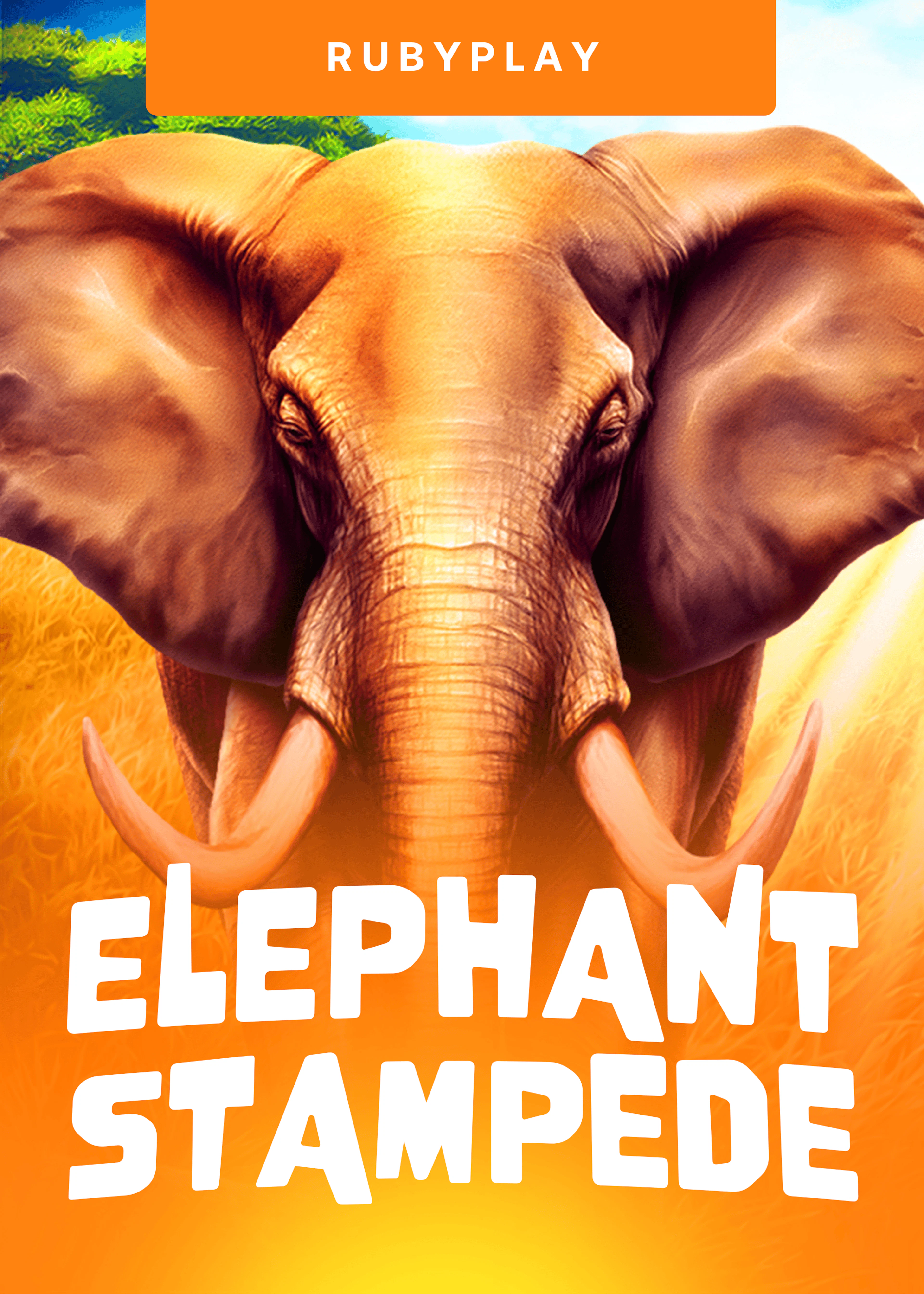 Elephant Stampede