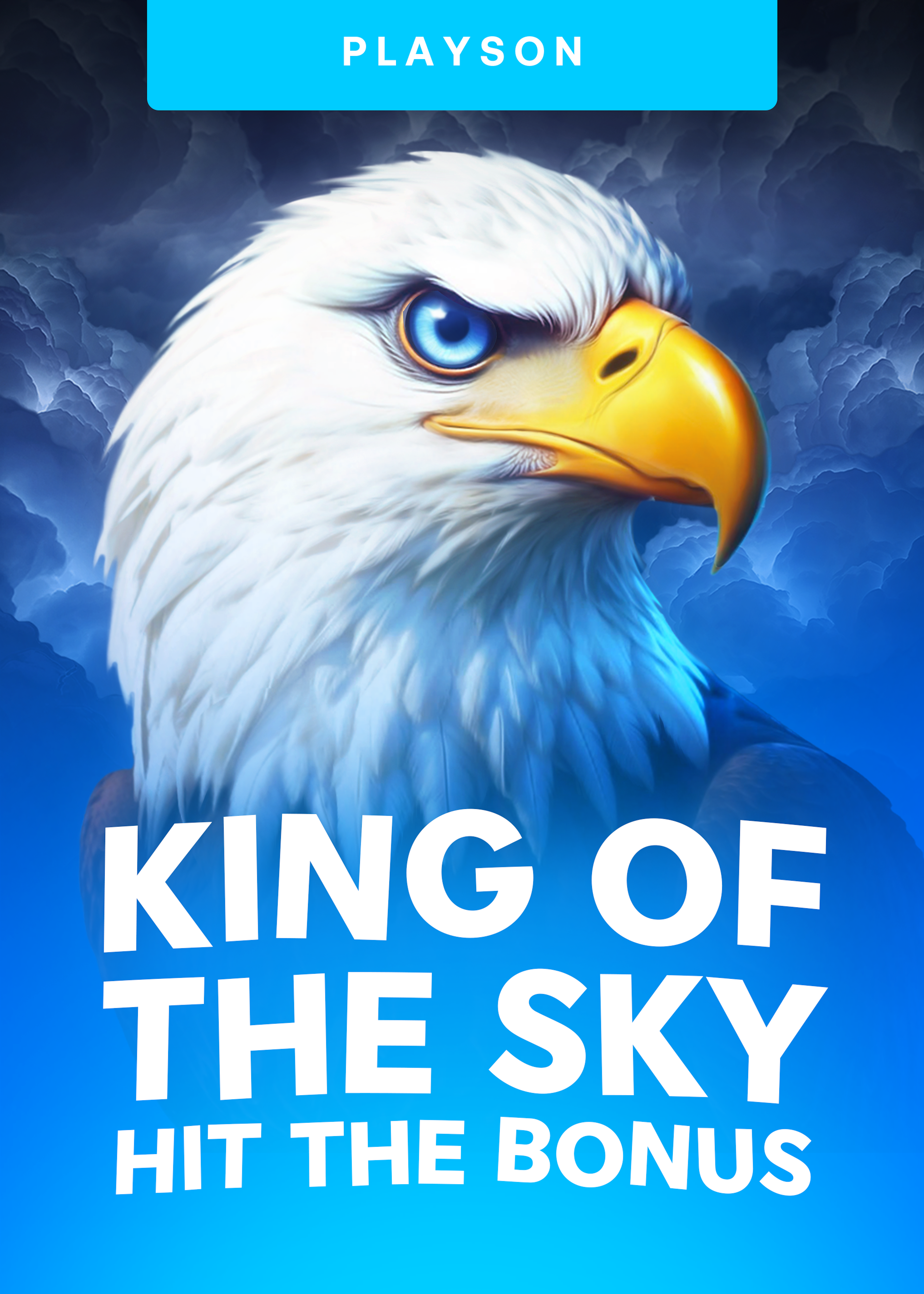 King of the Sky: Hit the Bonus